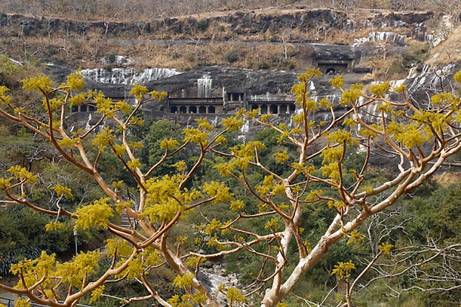 Grottes d'Ajanta-190